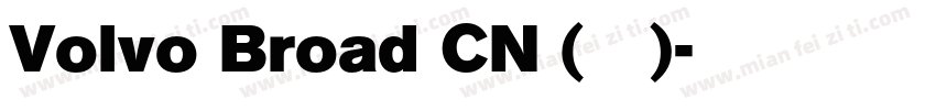 Volvo Broad CN (正文)字体转换